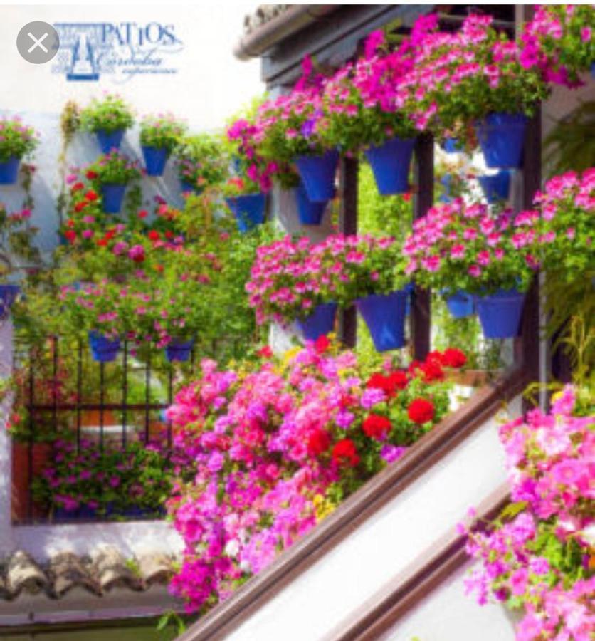 A 20 Metros De La Mezquita Catedral ,Apartamentos Turistico Cespedes 5 Cordoba Ngoại thất bức ảnh