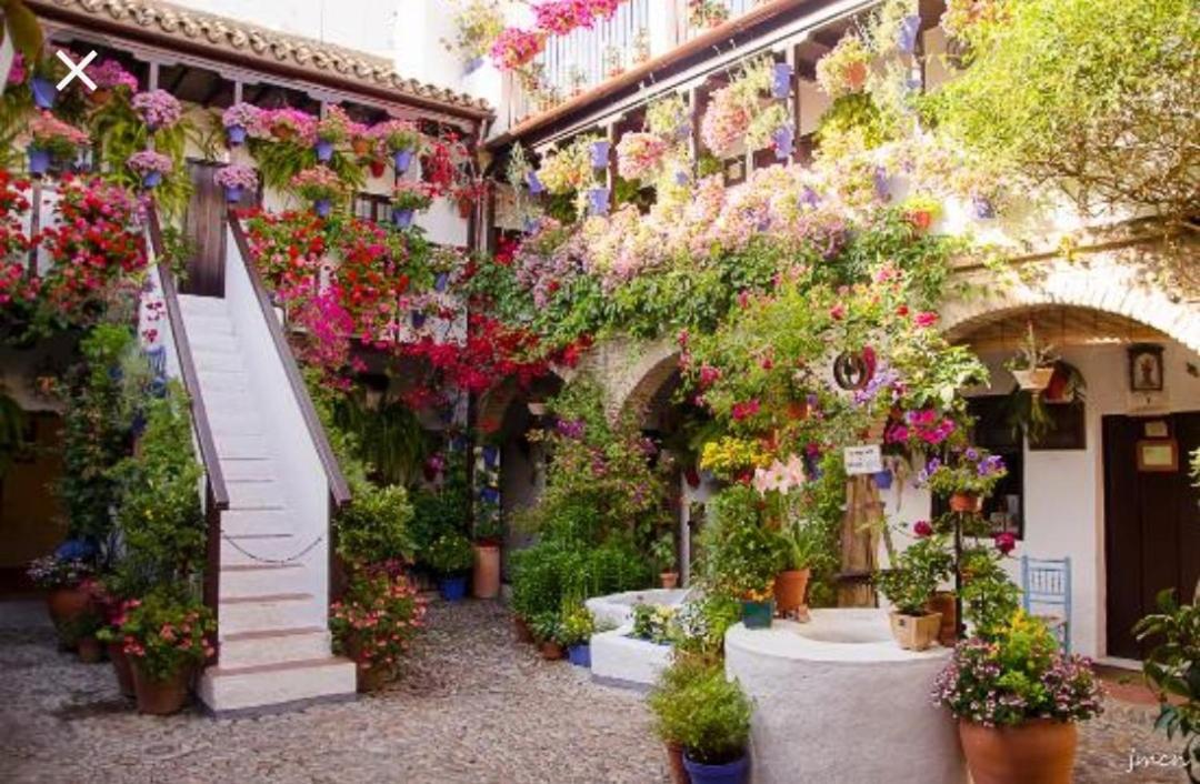 A 20 Metros De La Mezquita Catedral ,Apartamentos Turistico Cespedes 5 Cordoba Ngoại thất bức ảnh