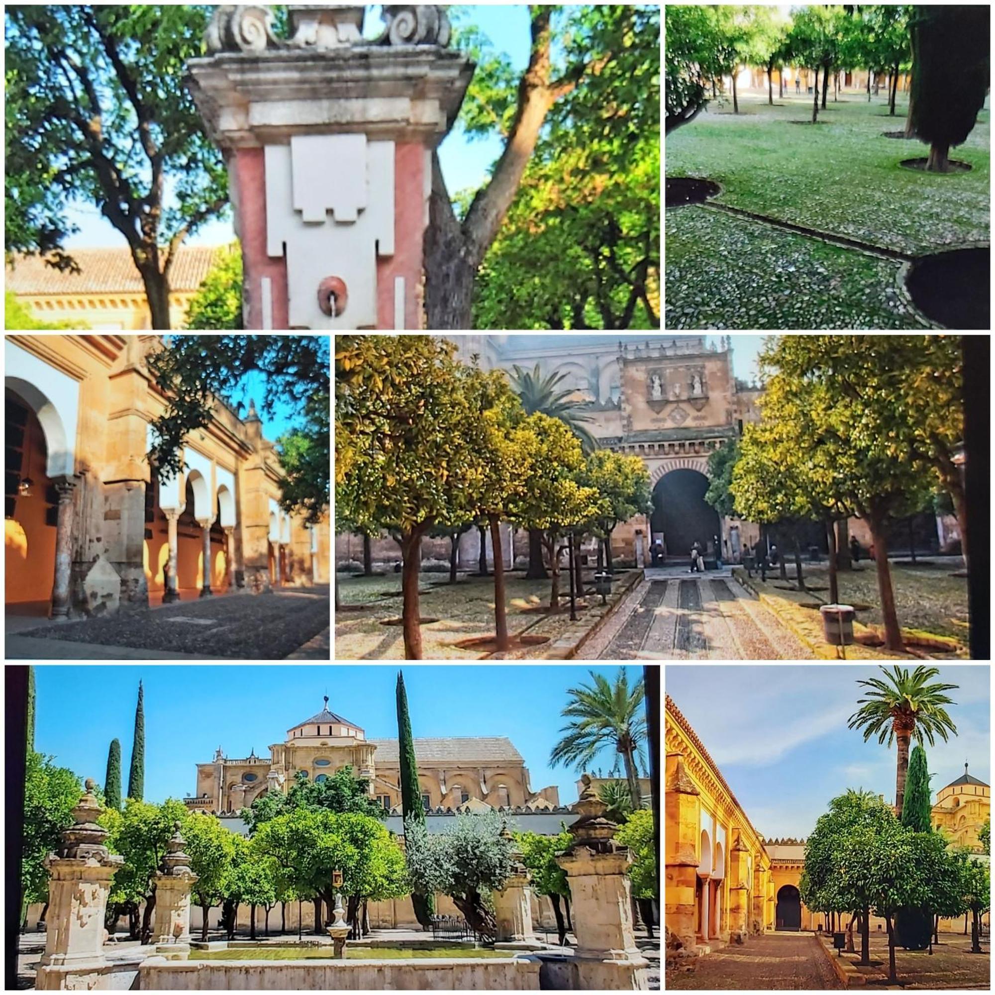 A 20 Metros De La Mezquita Catedral ,Apartamentos Turistico Cespedes 5 Cordoba Phòng bức ảnh