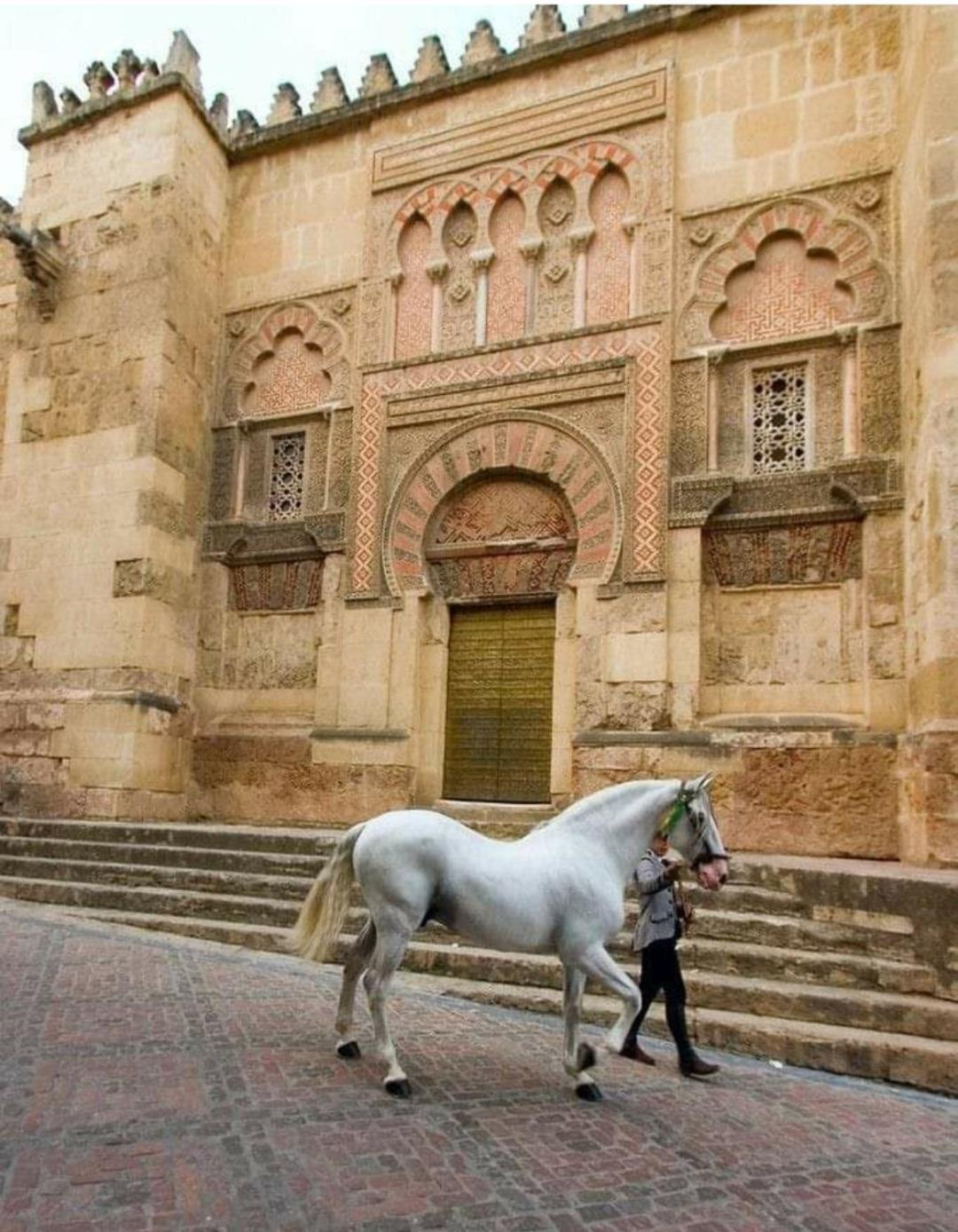 A 20 Metros De La Mezquita Catedral ,Apartamentos Turistico Cespedes 5 Cordoba Phòng bức ảnh