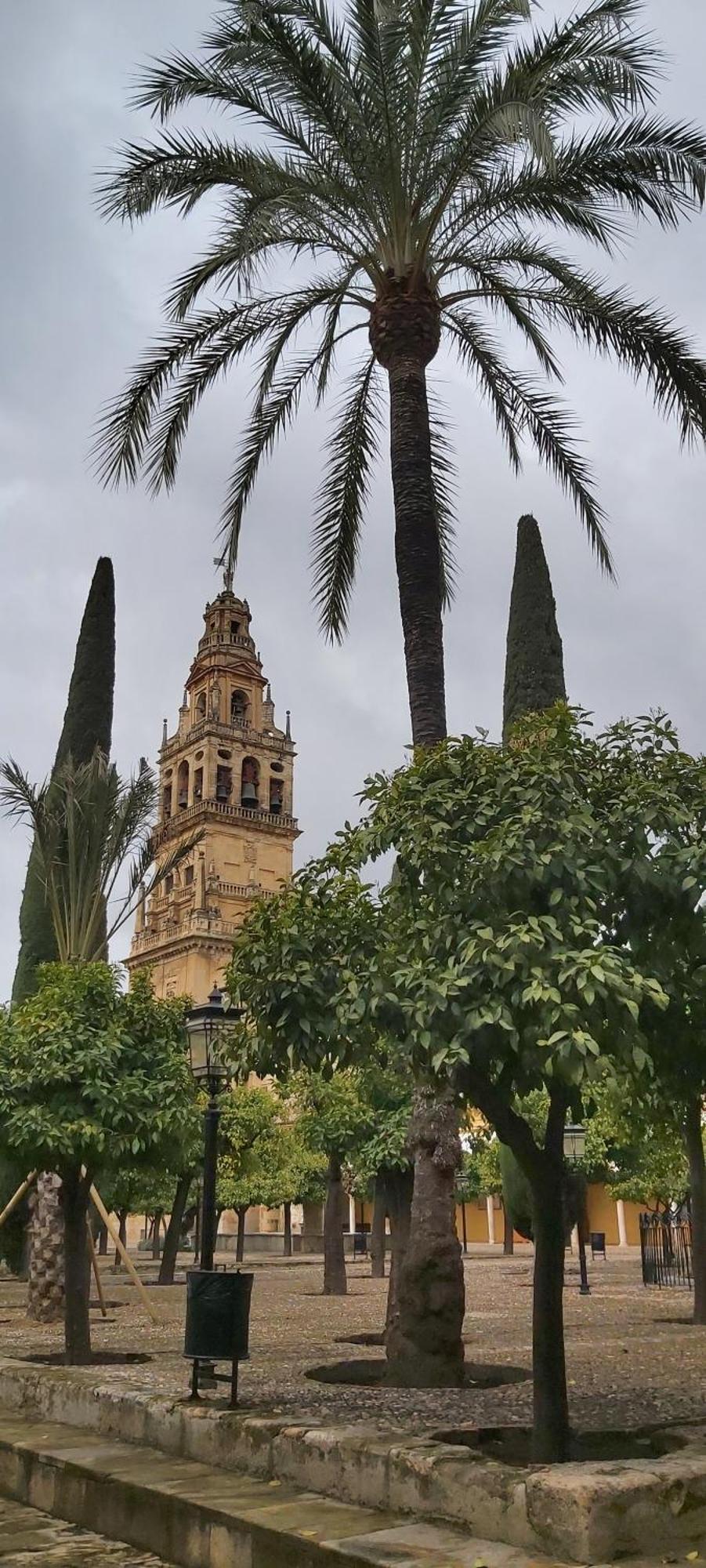 A 20 Metros De La Mezquita Catedral ,Apartamentos Turistico Cespedes 5 Cordoba Phòng bức ảnh